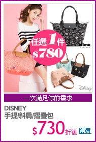 DISNEY
手提/斜肩/摺疊包