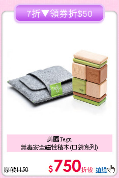 美國Tegu<br>無毒安全磁性積木(口袋系列)