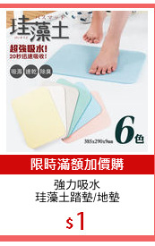 強力吸水
珪藻土踏墊/地墊