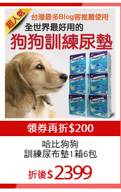 哈比狗狗
訓練尿布墊1箱6包