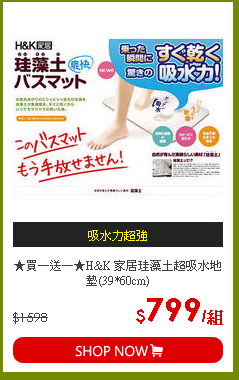 ★買一送一★H&K 家居珪藻土超吸水地墊(39*60cm)