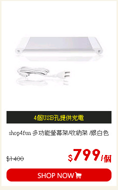 shop4fun 多功能螢幕架/收納架 /銀白色