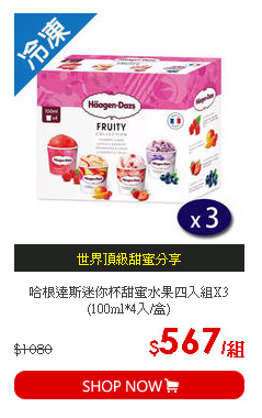 哈根達斯迷你杯甜蜜水果四入組X3 (100ml*4入/盒)