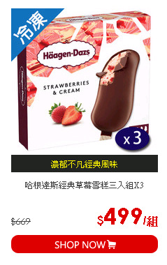 哈根達斯經典草莓雪糕三入組X3