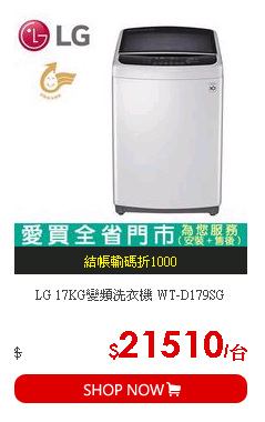 LG 17KG變頻洗衣機 WT-D179SG