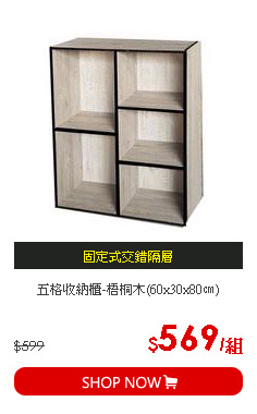 五格收納櫃-梧桐木(60x30x80㎝)