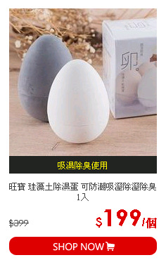 旺寶 珪藻土除濕蛋 可防潮吸溼除溼除臭 1入