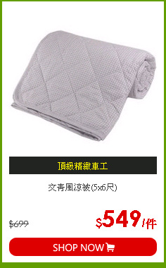 文青風涼被(5x6尺)