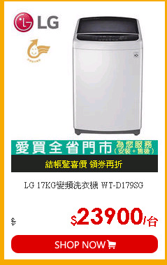 LG 17KG變頻洗衣機 WT-D179SG