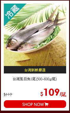 台灣虱目魚1尾(500~600g/尾)