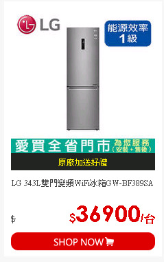 LG 343L雙門變頻WiFi冰箱GW-BF389SA