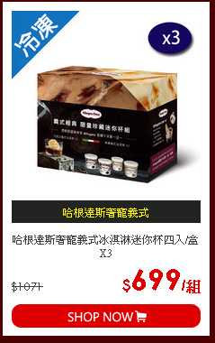 哈根達斯奢寵義式冰淇淋迷你杯四入/盒X3