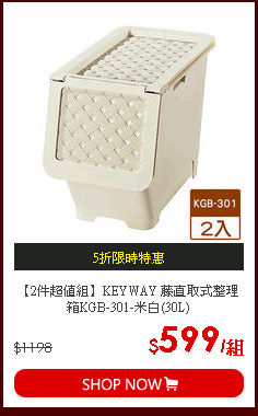【2件超值組】KEYWAY 藤直取式整理箱KGB-301-米白(30L)