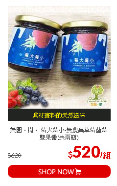 樂園．樹． 莓大莓小-無農藥草莓藍莓雙果醬(共兩瓶)