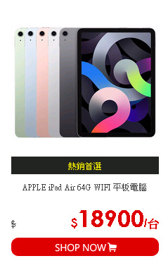 APPLE iPad Air 64G WIFI 平板電腦