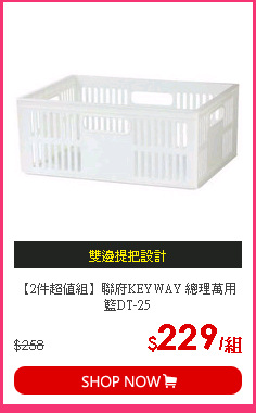 【2件超值組】聯府KEYWAY 總理萬用籃DT-25