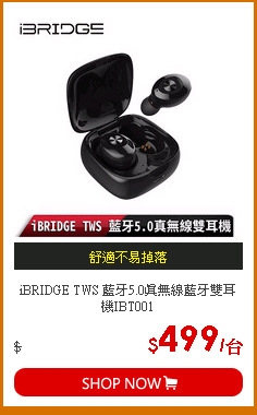 iBRIDGE TWS 藍牙5.0真無線藍牙雙耳機IBT001