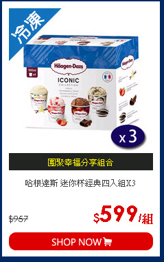 哈根達斯 迷你杯經典四入組X3