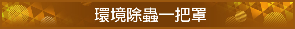愛買線上購物