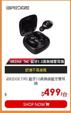 iBRIDGE TWS 藍牙5.0真無線藍牙雙耳機