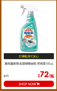 魔術靈廚房清潔劑噴槍瓶-萊姆香500ml