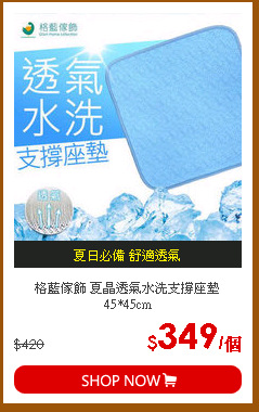 格藍傢飾 夏晶透氣水洗支撐座墊 45*45cm