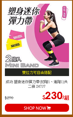 成功 塑身迷你彈力帶(初階1、進階1)共二條 S4737