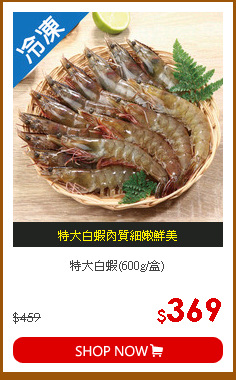 特大白蝦(600g/盒)