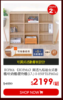 HOPMA 《HOPMA》樂活九格組合式書櫃/收納櫃/置物櫃(2入) G-850PTK/PMSx2
