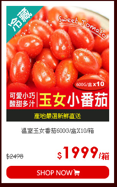 溫室玉女番茄600G/盒X10/箱