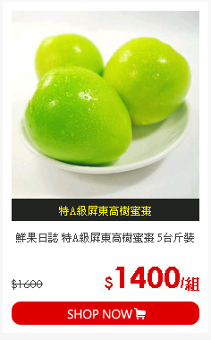 鮮果日誌 特A級屏東高樹蜜棗 5台斤裝