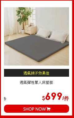 透氣彈性單人床墊套