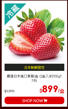 嚴選日本進口草莓/盒 (2盒入/約500g±5%)