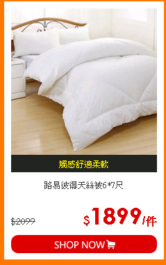 路易彼得天絲被6*7尺