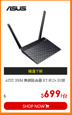 ASUS 300M 無線路由器 RT-N12+ B1版
