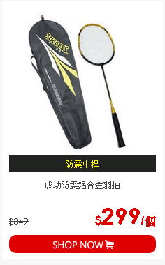 成功防震鋁合金羽拍