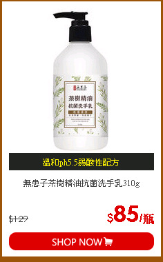 無患子茶樹精油抗菌洗手乳310g