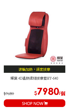 輝葉 4D溫熱揉槌按摩墊HY-640
