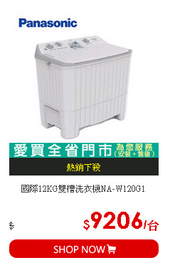 國際12KG雙槽洗衣機NA-W120G1