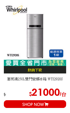 惠而浦250L雙門變頻冰箱 WTI2920S