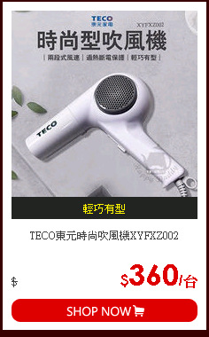 TECO東元時尚吹風機XYFXZ002