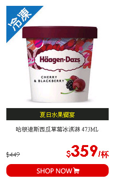 哈根達斯西瓜草莓冰淇淋 473ML