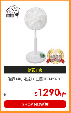 雄獅 14吋 遙控DC立扇BH-14202DC