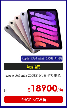 Apple iPad mini 256GB Wi-Fi 平板電腦