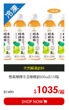 憋氣檸檬冬瓜檸檬飲600mlX15/箱