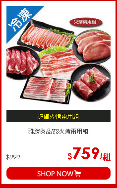 雅勝肉品YS火烤兩用組