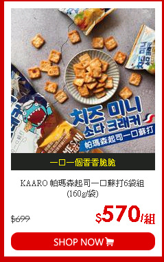 KAARO 帕瑪森起司一口蘇打6袋組 (160g/袋)