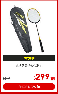 成功防震鋁合金羽拍