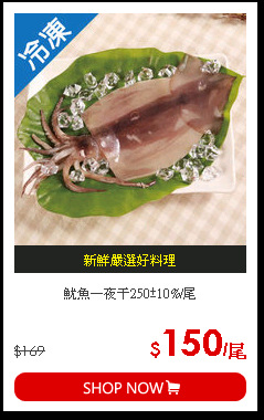 魷魚一夜干250±10%/尾