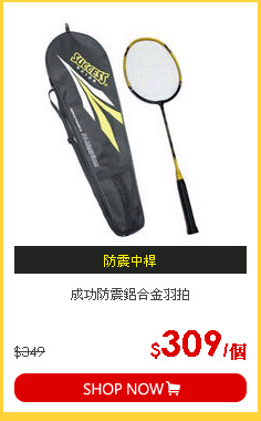 成功防震鋁合金羽拍